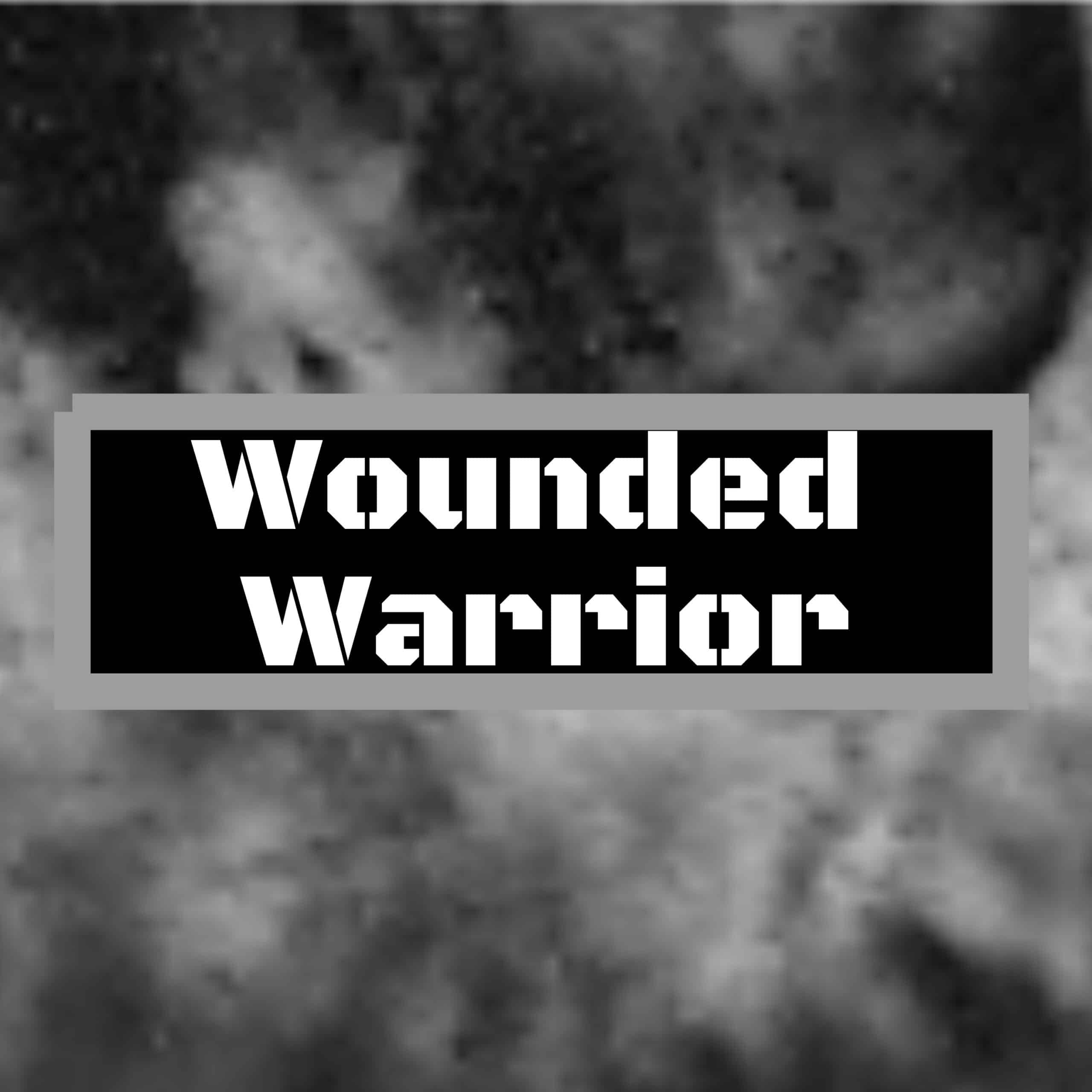 warriors2_1_original_original wounded warrior album cover